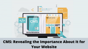 content management system CMS