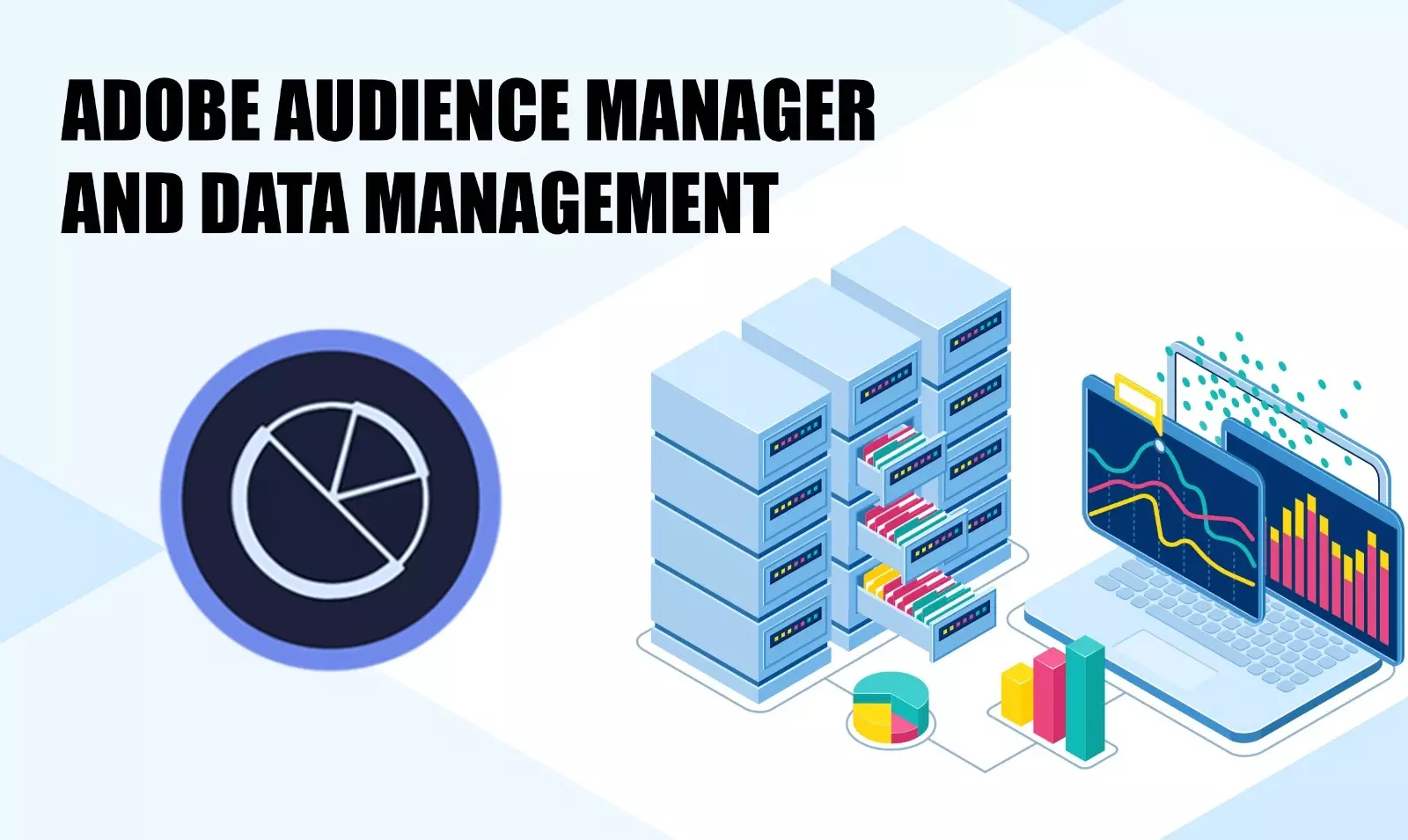 Adobe Audience Manager and data management