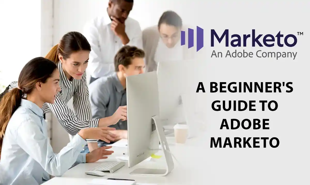 Guide to Adobe Marketo